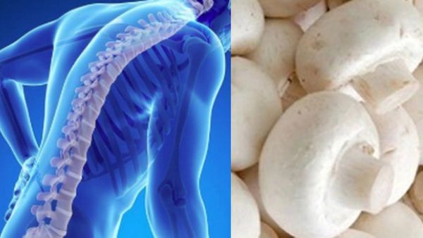 மட்டன் மாதிரியே.. ருசியும், சத்தும் நிறைந்த காளான்.. எலும்பு வளர்ச்சிக்கு 2 உணவுகள் இதான்.. சூப்பர்ல