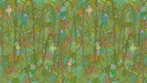 உங்களுக்கு ஒரு சேலஞ்ச்.. மறைந்து இருக்கும் பாம்பு.. 11 செகண்ட் தான் டைம்.. கண்டுபிடிங்க பார்க்கலாம்