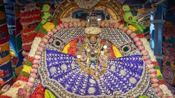 திருச்சானூர் பத்மாவதி தாயார்... தேரோட்டம் கோலாகலம்.. அழகைக் காண கண் கோடி வேண்டும்