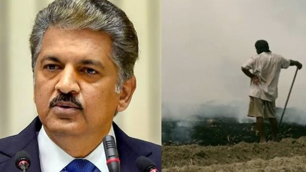 ஆனந்த் மஹிந்திரா கொடுக்கும் ஐடியா.. டெல்லி காற்று மாசுபாட்டுக்கு தீர்வு.. நல்லா இருக்கே! சாத்தியமா?