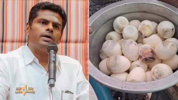 மதிய உணவில் அழுகிய முட்டை.. அரசு பள்ளி மாணவர்கள் என்றால் திமுகவுக்கு இளக்காரம். அண்ணாமலை தாக்கு