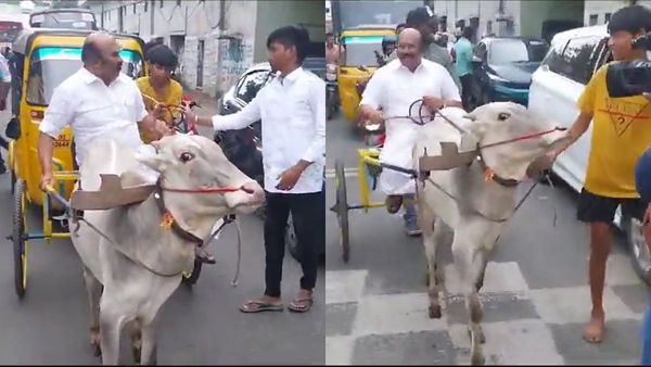 ‛டிஜே வாழ்க கோஷம்’.. ரோட்டில் காரை நிறுத்தி மாட்டு வண்டி ஓட்டிய ஜெயக்குமார்! இழுத்துட்டு ஓடிய மாடு