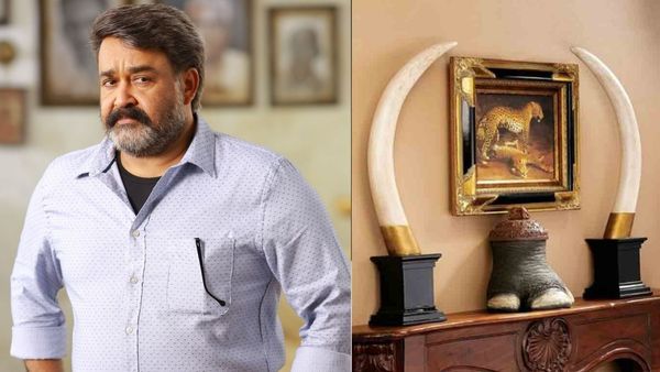 விடாமல் துரத்தும் யானை தந்தம் வழக்கு.. நீதிமன்றத்தில் இன்று ஆஜராகிறார் மலையாள நடிகர் மோகன்லால்!