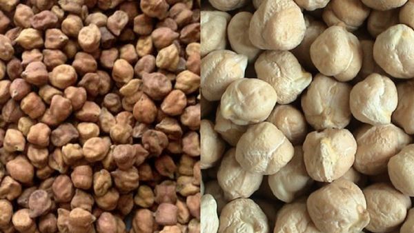 கொண்டைக்கடலை... ஊற வெச்சு சாப்பிட்டாலே ஆயுசு கூடும்.. ஹீமோகுளோபின் குறைபாட்டை தீர்க்கும் கொண்டைக்கடலை