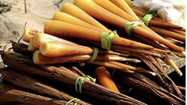 ஒல்லி ஒல்லியா இருக்கீங்களா.. அப்ப உடனே பனங்கிழங்கை கையிலெடுங்க.. ஒரே கிழங்கில் ஓராயிரம் ஆச்சரியங்கள்