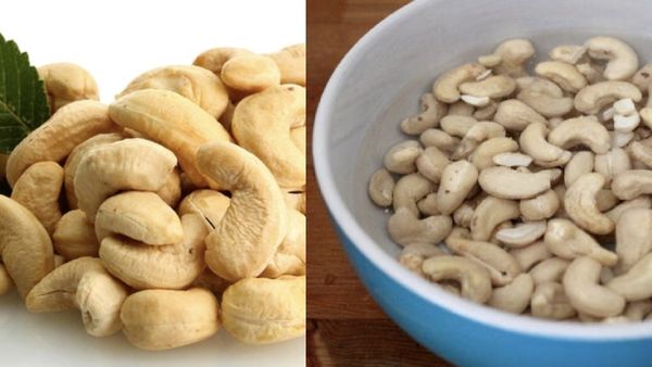 முந்திரிக்கொட்டை.. முந்திக்கொண்டு நோயை விரட்டும் முந்திரி.. பாலில் ஊறவைத்த முந்திரி பருப்பு.. அருமை