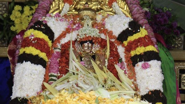 ஏழுமலையானுக்கு புஷ்ப யாகம்.. கார்த்திகை தீப மகா உற்சவம்.. ஜொலித்த திருமலை.. ஒலித்த கோவிந்தா முழக்கம்
