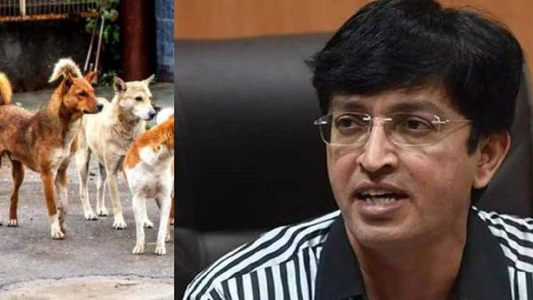 துரத்தி துரத்தி 27 பேரை கடித்த வெறி நாய்.. ரேபிஸ் உறுதி.. சென்னை ஆணையர் ராதாகிருஷ்ணன் சொல்வதென்ன?