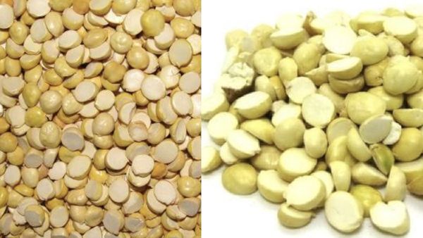 பொட்டுக்கடலை.. பட்டு பட்டுனு நோயை விரட்டியடிக்கும் பொட்டுக்கடலை.. நீரிழிவு நோயாளிகள் இதை சாப்பிடலாமா