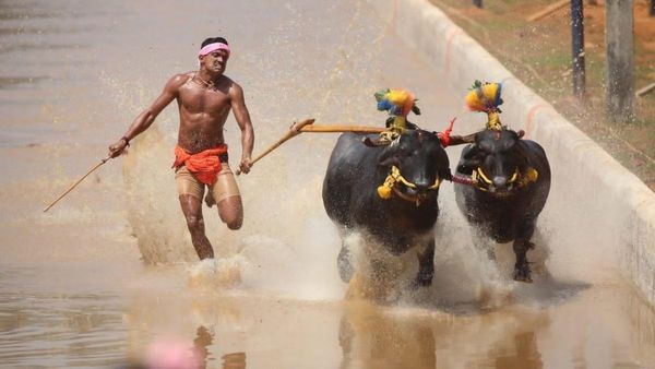 பெங்களூர் மக்கள் கண்முன்னே நிஜமாக நடக்கப்போகுது 