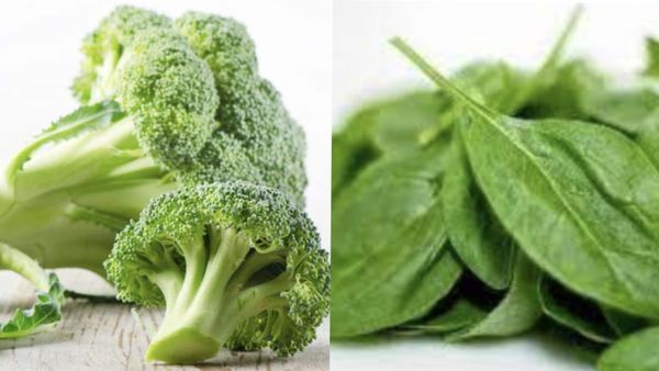 கணையத்தில் கல்.. சின்ன வெங்காயம் இருக்கா? தயிர் இருக்குல்ல.. கணைய வீக்கத்தை போக்கும் அற்புத உணவுகள்