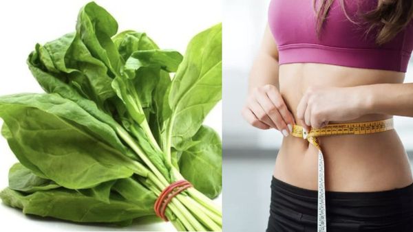 பாலக்கீரை.. பொல பொலன்னு உடல் எடையை குறைக்கும் பாருங்க.. அற்புதம் கொண்ட பசலைக்கீரை.. விடாதீங்க பெண்களே