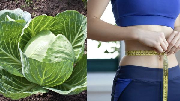 முட்டைகோஸ்.. தலை முதல் கால் வரை ஆச்சரியம்.. முட்டைகோஸில் இத்தனை நன்மையா? உடல்எடை அசால்ட்டா குறையும்