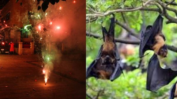 ஹேப்பி தீபாவளி.. மறந்தும்கூட தீபாவளிக்கு 