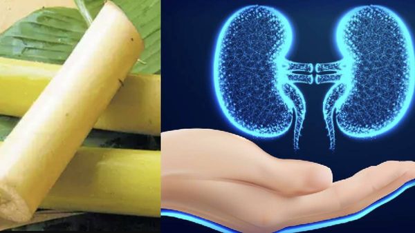 வாழைத்தண்டு.. துண்டு போதுமே.. மொத்த கல்லையும் கரைக்கும் வாழைத்தண்டு.. சிறுநீரகத்தை காக்கும் நண்பன்