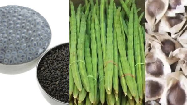 முருங்கை விதை.. வியப்பூட்டும் சப்ஜா விதை.. சல்லுனு வெயிட் குறையும்.. 2 விதையையும் இப்படி சாப்பிடுங்க