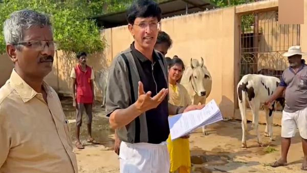 சென்னையை மிரட்டும் ரேபிஸ்? நாய் எச்சில் பட்டால் கூட அலட்சியம் வேண்டாம்.. ராதாகிருஷ்ணன் எச்சரிக்கை