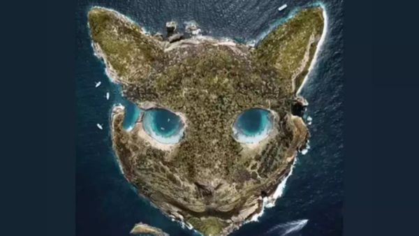 படத்தில் முதலில் தெரிவது என்ன?.. பூனையா? தீவா? உங்க கேரக்டர் எப்படின்னு தெரிஞ்சுக்க சூப்பர் டிப்ஸ்