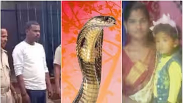 நாகப்பாம்பை விட்டு கடிக்க வைத்து மனைவி, குழந்தையை கொன்ற கொடூர இளைஞர்.. திடுக்கிட வைத்த காரணம்