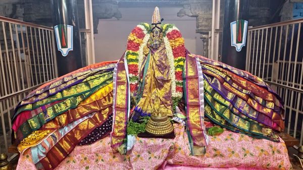 கைசிக ஏகாதசி.. 365 வஸ்திரங்களில் அருள்பாலித்த ஸ்ரீரங்கம் நம்பெருமாள்.. பச்சைக்கற்பூரம் தூவி வழிபாடு