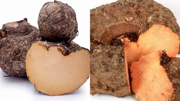 சேனைக்கிழங்கு.. நீங்க கருணைக்கிழங்கு சாப்பிடறீங்களா? அப்ப இதை மறக்காதீங்க.. பெண்ணின் அருமருந்து சேனை