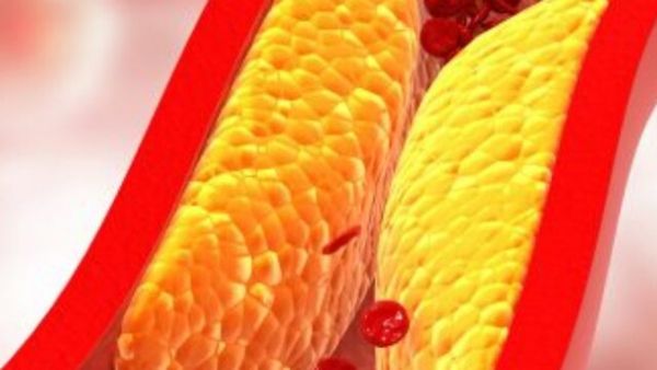 தம்மாதூண்டு விதை.. ஒரே ஆச்சர்யம்.. சிறுநீரகம் முதல் கல்லீரல் வரை காக்கும் கருப்பு விதைகள்.. கவனியுங்க