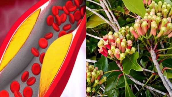 தம்மாதூண்டு துண்டு.. இரவில் ஜஸ்ட் 2 பீஸ் போதும்.. நோயெல்லாம் பறந்துரும், ஆயுசு கூடிரும்.. கமகம வாசம்