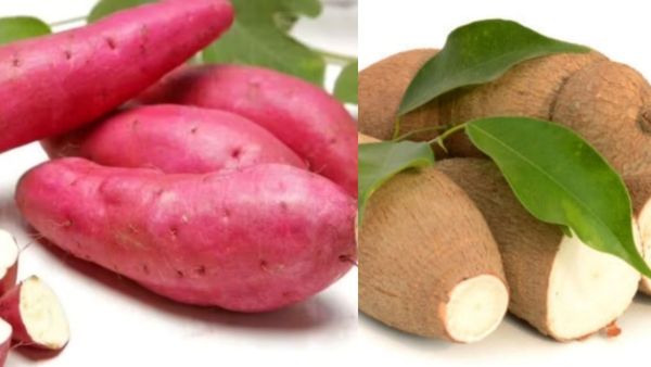 சர்க்கரை வள்ளிக்கிழங்கும், வெயிட் லாஸூம்.. மரவள்ளிக்கிழங்கு + கருணைக்கிழங்கு.. ஒரே ஆச்சரியமா இருக்கே