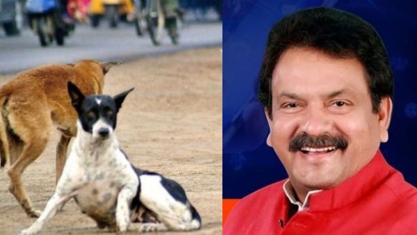 ஓராண்டில் தமிழ்நாட்டில் 4 லட்சத்து 4,000 பேர் தெருநாய் கடியால் பாதிப்பு! மத்திய அமைச்சர் ஷாக் தகவல்!