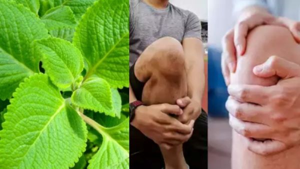 அன்னாசி பழம்.. அப்பறம் கற்பூரவள்ளி.. முழங்கால் வலி முதல் மூட்டு வலி வரை விரட்டியடிக்கும் 10 டிப்ஸ்