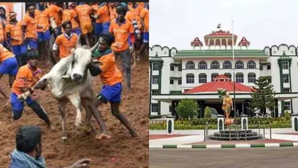 மதுரை அவனியாபுரம் ஜல்லிக்கட்டு.. சாதி, மதம் கூடாது! உயர்நீதிமன்ற மதுரை கிளை போட்ட முக்கிய உத்தரவு