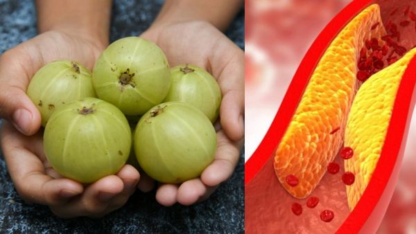 வெறும் கனி போதும்.. அதுவும் வெறும் வயிற்றில் இந்த ஜூஸ் குடிச்சாலே கடகடனு வெயிட் குறையும்.. ஆயுசு 100