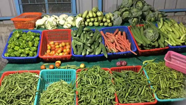 சென்னையில் வீடு தேடி வரும் காய்கறிகள்.. ஆஹா இவ்வளவு கம்மி விலையா? தமிழ்நாடு அரசின் ஸ்மார்ட் முடிவு