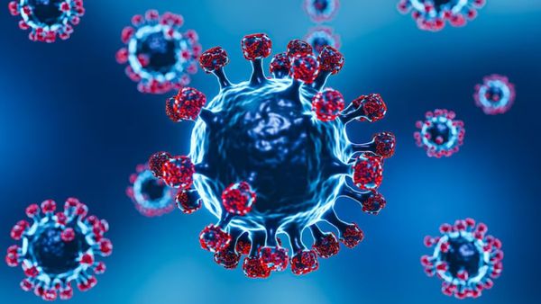 வேகமெடுத்த ஜேஎன்.1 கொரோனா வைரஸ்.. கேரளாவை தொடர்ந்து கோவா, மகாராஷ்டிராவிலும் உறுதியான பாதிப்பு