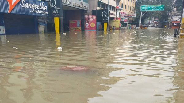 வெள்ள நீரில் மிதந்து வரும் சடலம்.. யார் அது? நெல்லை ஜங்ஷன் பகுதியில் கடும் அதிர்ச்சி!