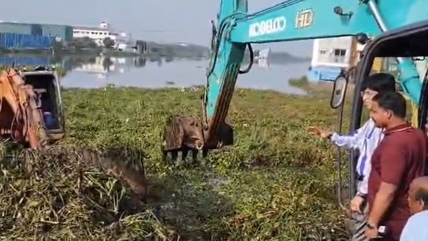 வேளச்சேரி பெருவெள்ளம்.. பொறுமையாக ஆராய்ச்சி செய்து.. சென்னை மாநகராட்சி மீது பாய்ந்த அறப்போர் இயக்கம்