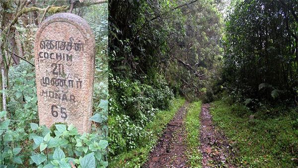 கொடைக்கானல் டூ மூணாறு எஸ்கேப் ரூட்டில் பயணிக்க ஆசையா? அடர்ந்த காட்டிற்குள் சுற்றுலா போகலாம்