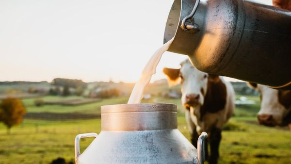 பால் உற்பத்தியாளர்கள் வயிற்றில் பால் வார்த்த ஆவின்! கொள்முதல் விலை லிட்டர் ஒன்றுக்கு ரூ.3 உயர்வு!