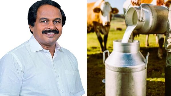 பால் உற்பத்தியாளர்களுக்கு 10 நாட்களுக்குள் பணப்பட்டுவாடா! பாலை ஆவினுக்கு கொடுங்க! -மனோ தங்கராஜ்