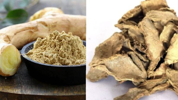 பூலாங்கிழங்கு.. வெள்ளை மஞ்சள் கிழங்கு அருமை பாருங்க.. புற்றுநோயை ஓட ஓட விரட்டும் கமகம பூலாங்கிழங்கு