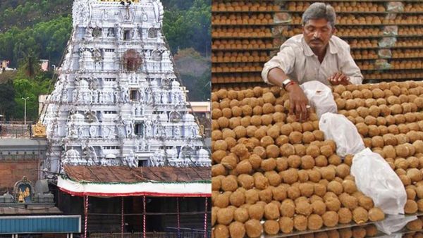 திருப்பதி லட்டு பிரசாதம்.. தரம் சுவையில் மாற்றமா?.. தேவஸ்தானம் சொல்வதென்ன? 