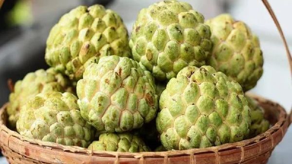 சீதாப்பழத்துல இத்தனை நன்மையா? நீரிழிவு நோயாளி சீதாப்பழம் சாப்பிடலாமா? அட்டகாசமான சீத்தாப்பழம் டிப்ஸ்