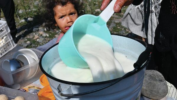 இதென்ன புது பழக்கம்! தமிழ்நாட்டில் குதிரை பால் விற்பனை அமோகம்! தேடி தேடி குடிக்கும் மக்கள்.. நல்லதா?