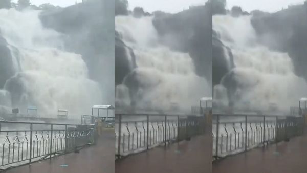 விடாத மழை.. குற்றால அருவிகளில் கடும் வெள்ளப்பெருக்கு.. குளிக்க தடை.. வீடியோ பாருங்க! எவ்ளோ தண்ணீர்