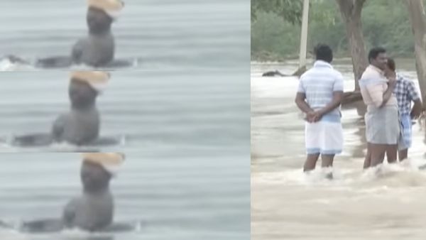 தலைக்கு தில்லை பாருங்க! ஆறு போல் ஓடும் வெள்ள நீர்.. வெறும் டியூப் கட்டி அசால்ட்டாக நீந்திய நபர்