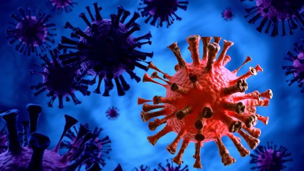 7 மாதங்களில் இல்லாத உச்சம்.. 750ஐ தாண்டிய தினசரி கொரோனா பாதிப்பு.. தென்மாநிலங்களில் நிலைமை மோசம்!