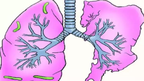 முருங்கைக்காய்.. இந்த 10 இலையை மென்று தின்றாலே போதும்.. நுரையீரலின் நலன் காக்கும் அருமையான 5 ஜூஸ்கள்