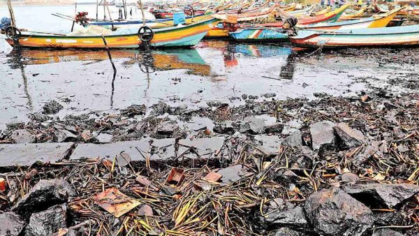சரமாரி கேள்வி எழுப்பிய பசுமை தீர்ப்பாயம்! கச்சா எண்ணெய் கழிவுகளை அகற்றும் பணியில் தமிழக அரசு தீவிரம்