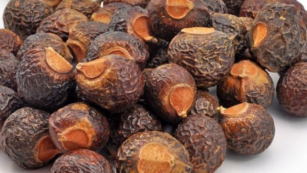 பூந்திக்கொட்டை.. கருகரு தலைமுடி + மினுமினு உடல் = பூந்திகொட்டைகள்.. அதென்ன நுரை நுரையா வருதே.. வாவ்