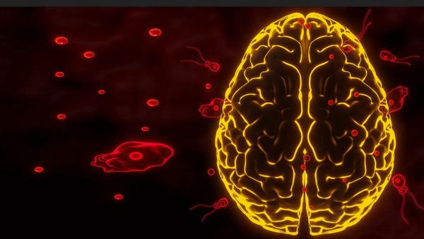 நினைவு இருக்கா! அலறிய கேரளா.. சிறுவனின் மூளையை காலி செய்த அமீபா! ஏரியில் குளிக்கும் போகும்போது கவனம்